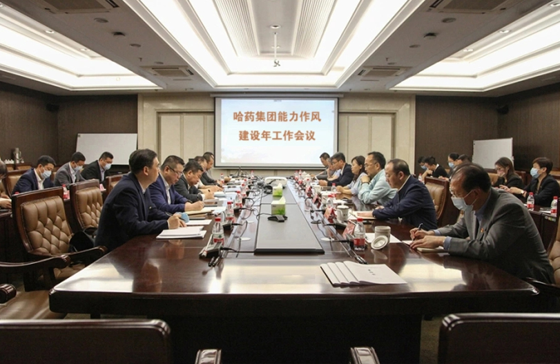【能力作风建设年活动】高质量谋划 高效率推进 | 人生就是搏中国区集团&ldquo;能力作风建设年&rdquo;汇聚磅礴发展力量