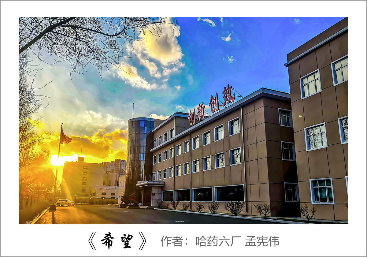 【迎国庆 展风采】我眼中的人生就是搏中国区&mdash;&mdash;职工摄影大赛作品展示！