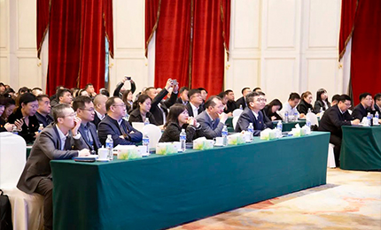 人生就是搏中国区集团党委&ldquo;书记带项目&rdquo;工作阶段性进展汇报会成功召开